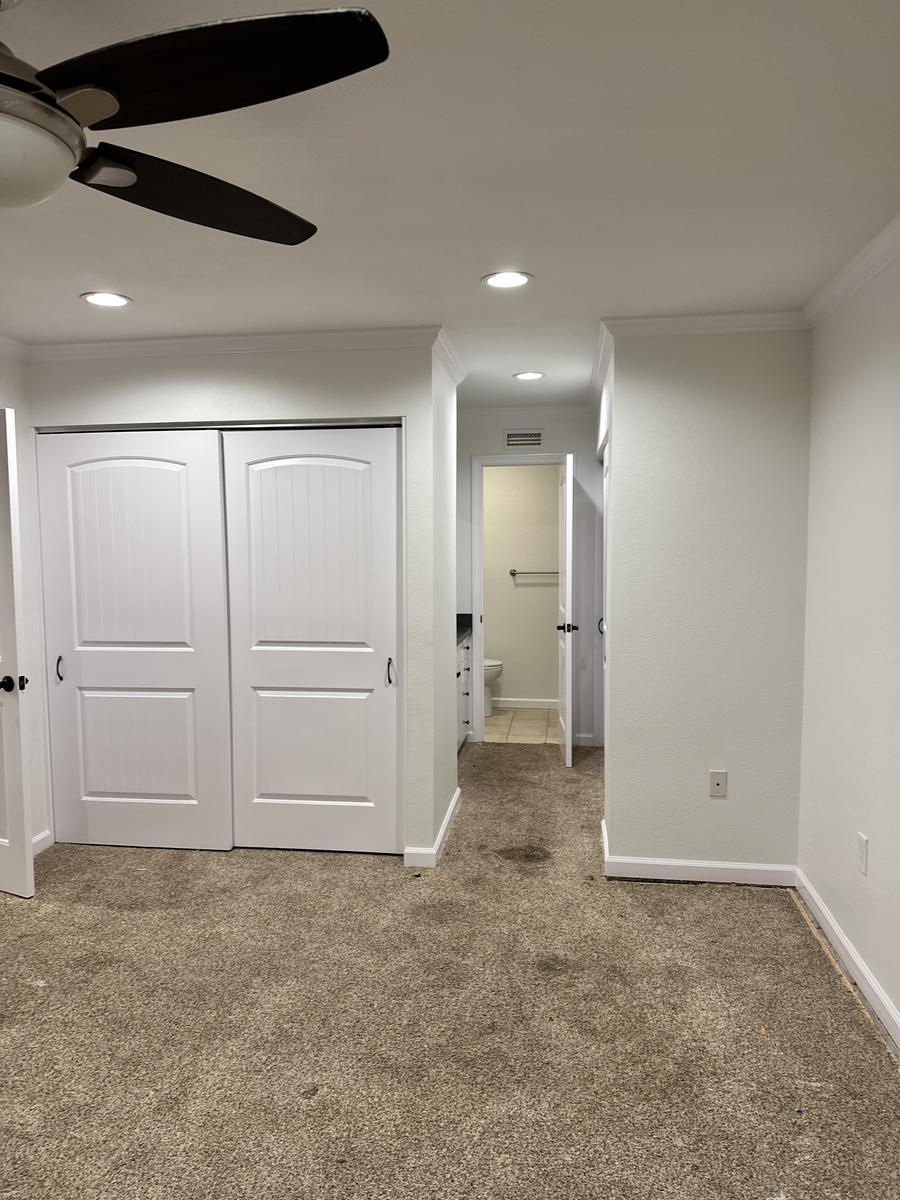 Doors & trim